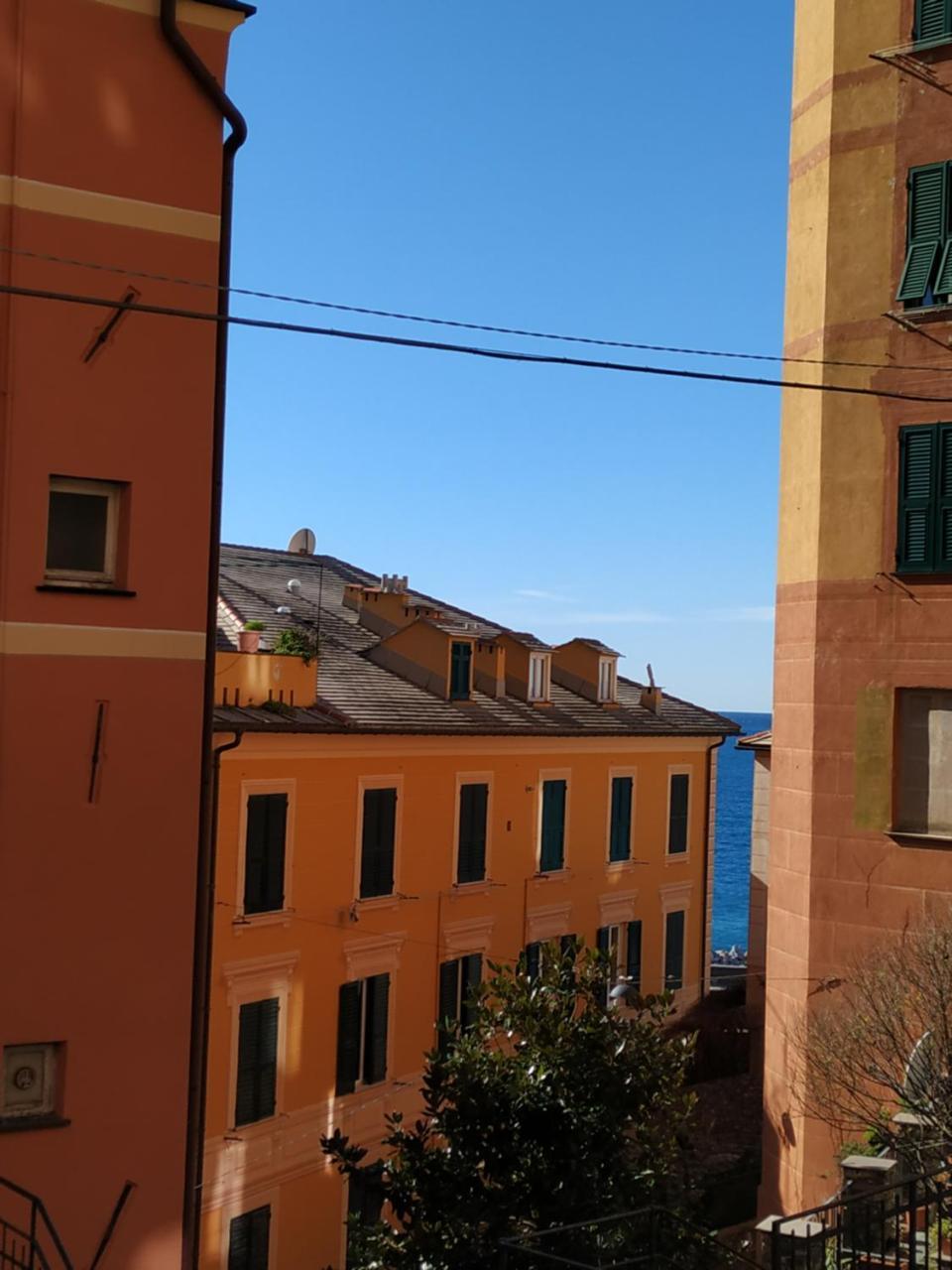 Augusta Albergo B&B Camogli Zewnętrze zdjęcie