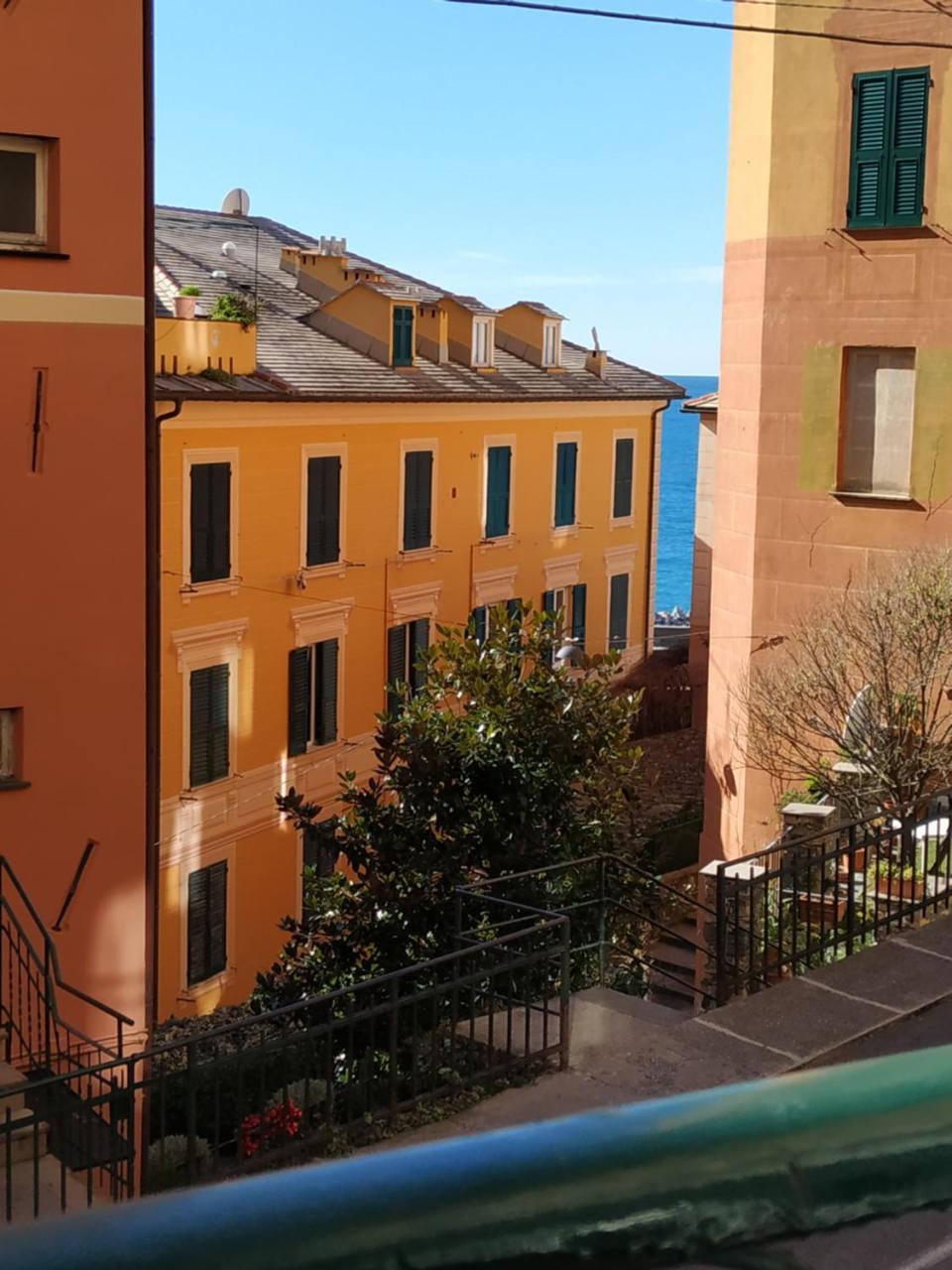 Augusta Albergo B&B Camogli Zewnętrze zdjęcie